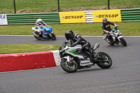 Lower Group Multicolour Bikes